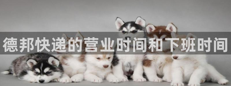 28圈注册网站链接是什么