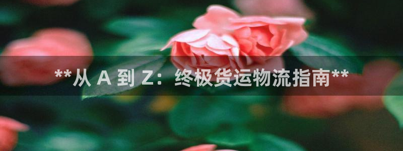 28圈官网下载链接是什么：**从 A
