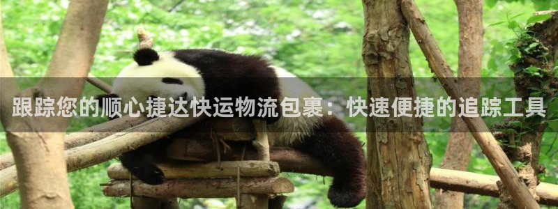 28圈预测加拿大：跟踪您的顺心捷达快