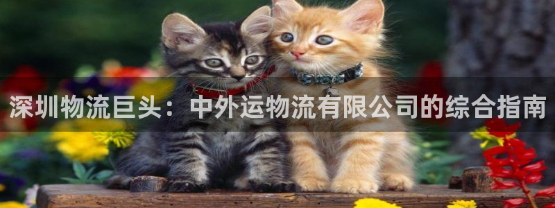 28圈.ccm正版