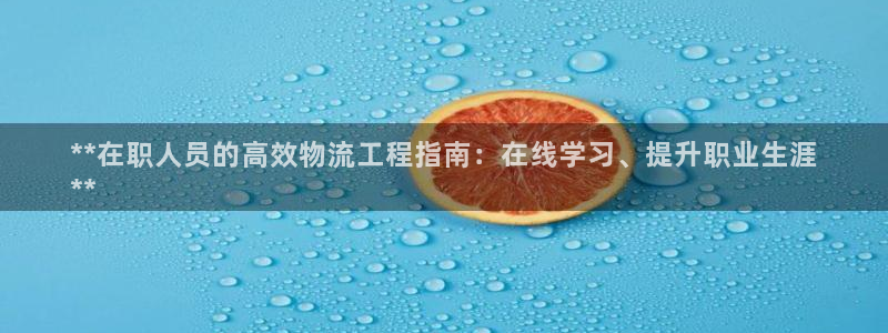 28圈下载不了