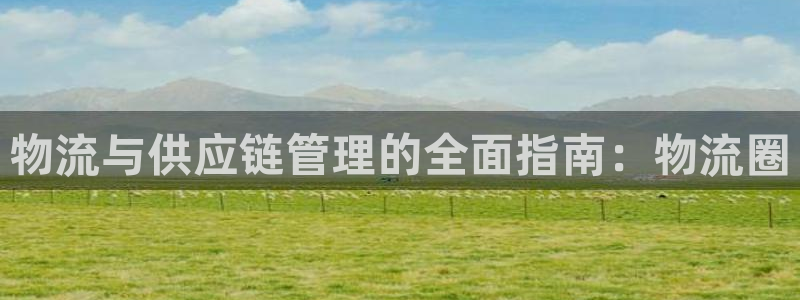 28圈注册与教程