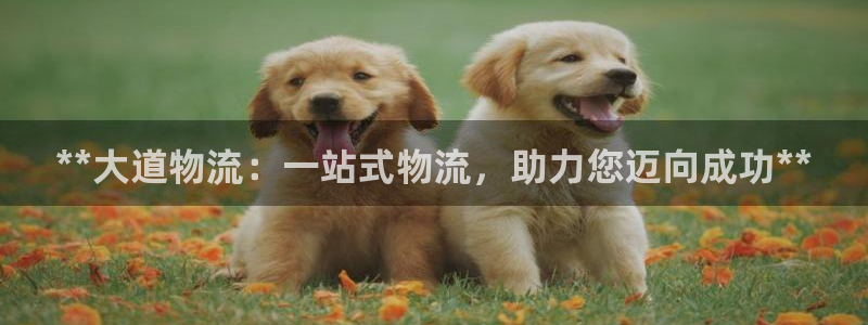 28圈官方官网：**大道物流：一站式