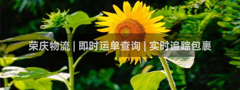 28圈软件是诈骗吗：荣庆物流 | 即