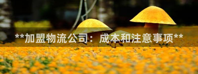 28圈.ccmapp：**加盟物流公