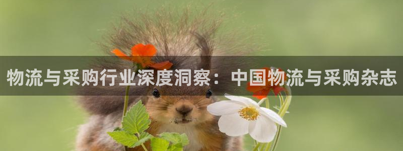 28圈注册官网：物流与采购行业深度洞