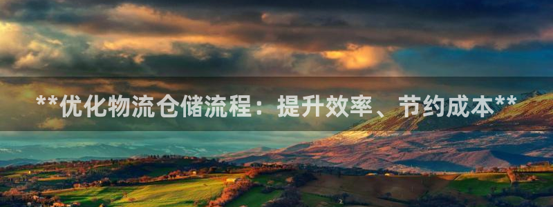 28圈正规吗?：**优化物流仓储流程