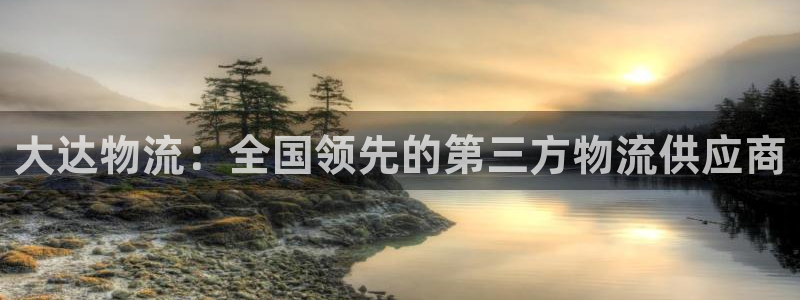 28圈注册平台：大达物流：全国领先的