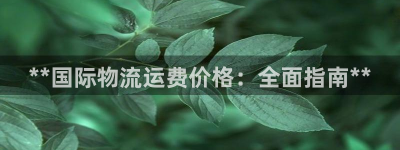 28圈h5链接