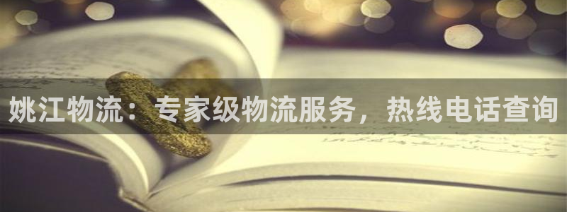 28圈大神预测