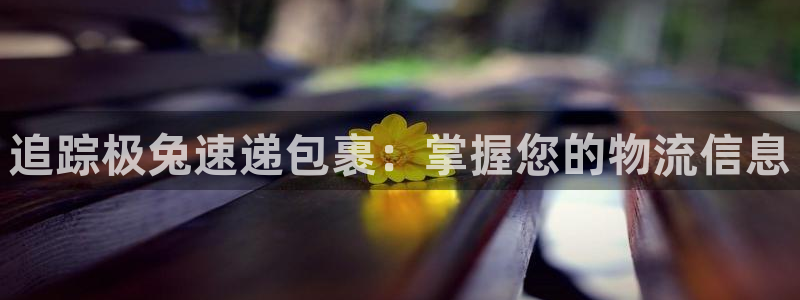 28圈怎么注册游戏名字
