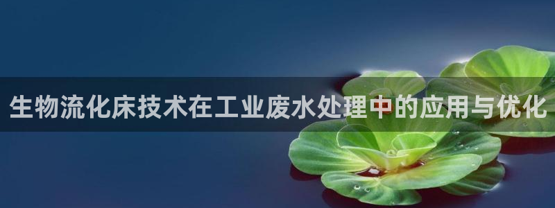 28圈注册网址百度知道：生物流化床技