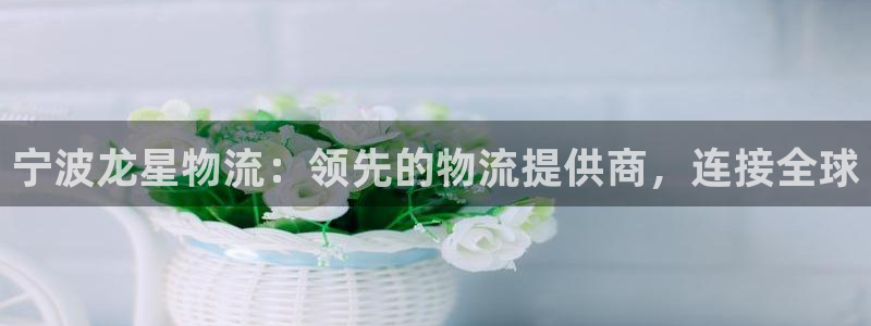 28圈注册网页：宁波龙星物流：领先的