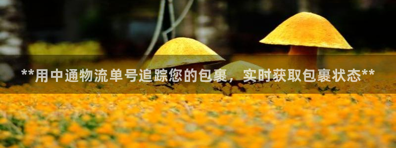 28圈pc预测：**用中通物流单号追