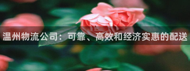 28圈娱乐官网网页：温州物流公司：可