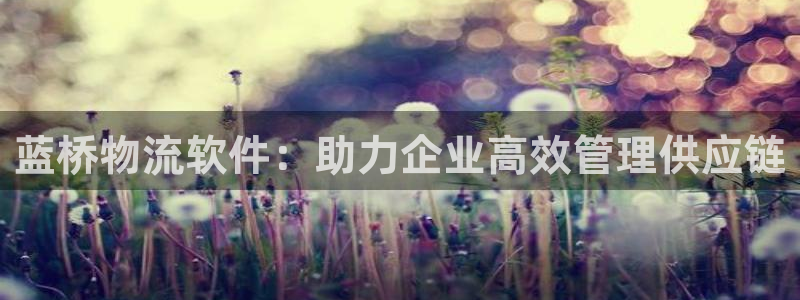 28圈相信品牌的力量：蓝桥物流软件：