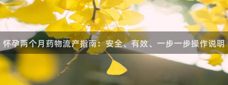 28圈注册网站多少钱一个：怀孕两个月