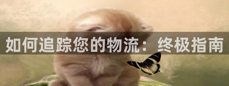 28圈注册过了警察知道吗：如何追踪您