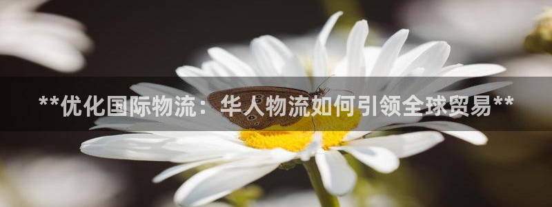 28圈加拿大app预测：**优化国际