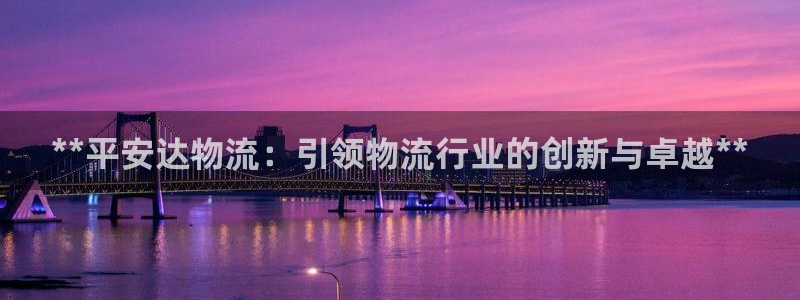 28圈吧：**平安达物流：引领物流行