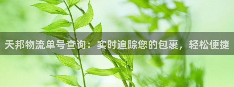 28圈.ccm正版：天邦物流单号查询