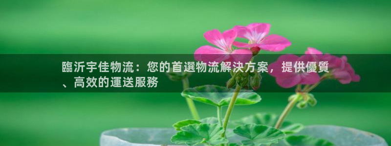 28圈怎么申请代理：臨沂宇佳物流：您