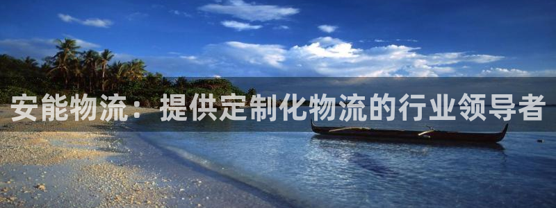 28圈链接来一个：安能物流：提供定制