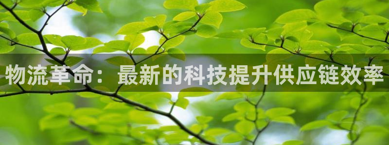 28圈是啥：物流革命：最新的科技提升
