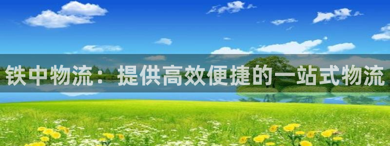 28圈网赌有什么风险：铁中物流：提供