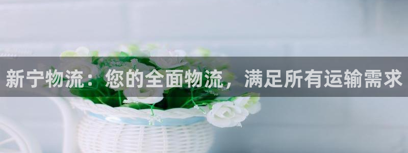 28圈官方网站：新宁物流：您的全面物
