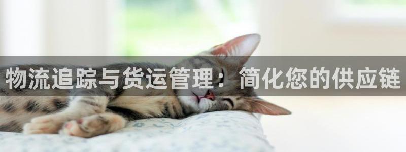 28圈充值不处理会怎么样：物流追踪与
