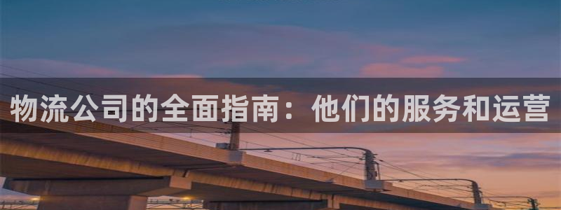 28圈昵称：物流公司的全面指南：他们
