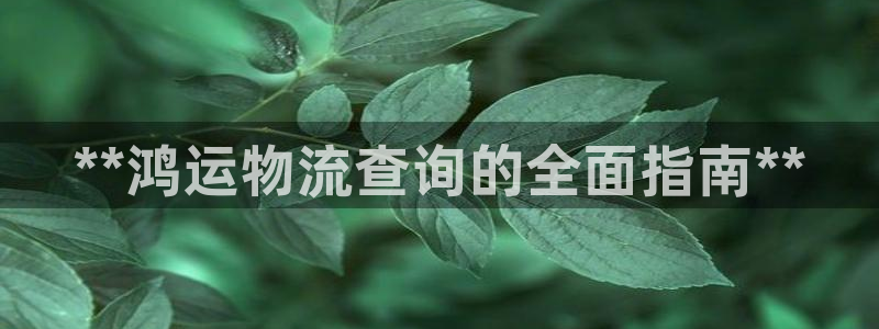 28圈怎么下载：**鸿运物流查询的全