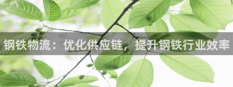 pc28圈怎么注册：钢铁物流：优化供