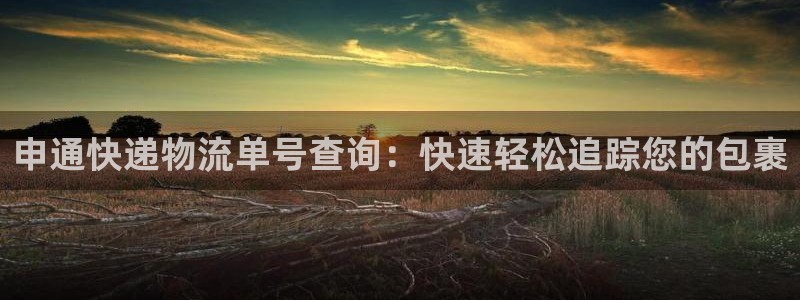 加拿大28圈数字规则：申通快递物流单