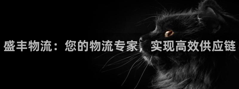 28圈加拿大官网：盛丰物流：您的物流