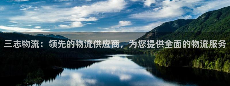 28圈推广链接是多少：三志物流：领先