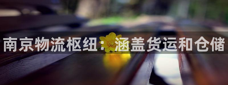 28圈推广链接是多少粉丝：南京物流枢