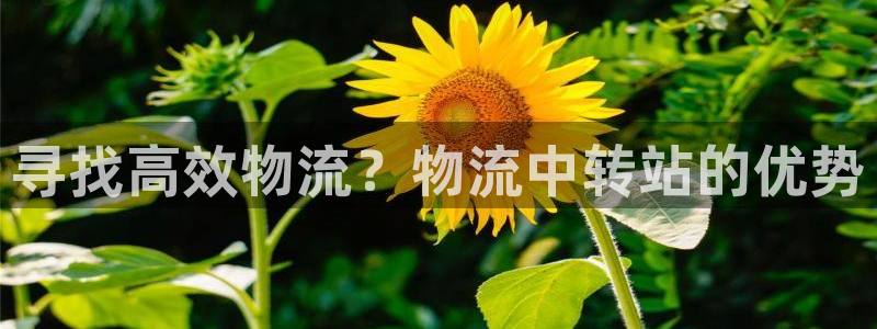 28圈加拿大2.8预测在线预测：寻找