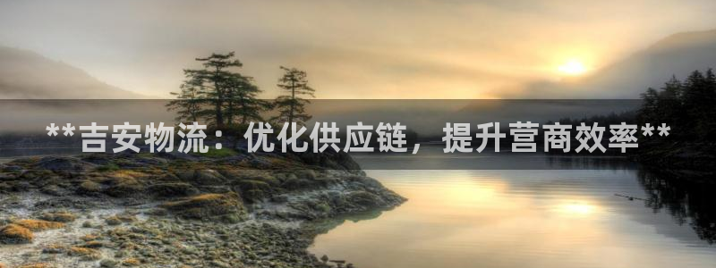 28圈玩法：**吉安物流：优化供应链
