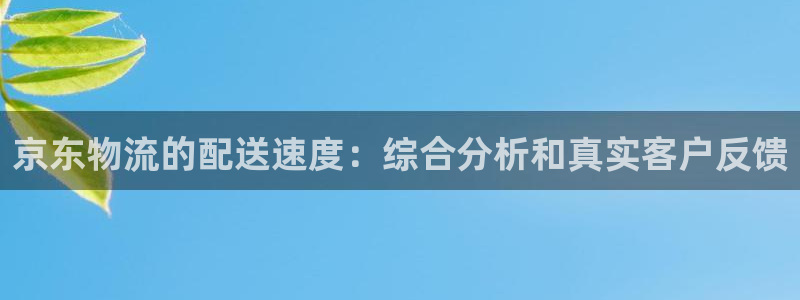 28圈起来的符号：京东物流的配送速度