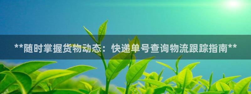 28圈登录网：**随时掌握货物动态：