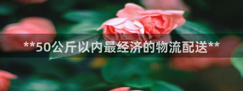 28圈登录用户名登录不上：**50公