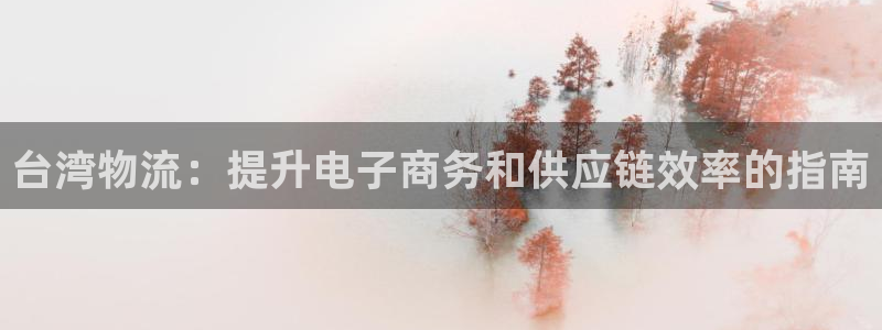 28圈绿骨头：台湾物流：提升电子商务
