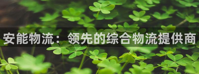 28圈注册教程：安能物流：领先的综合