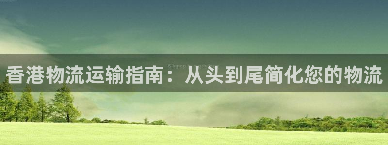 28圈连接：香港物流运输指南：从头到
