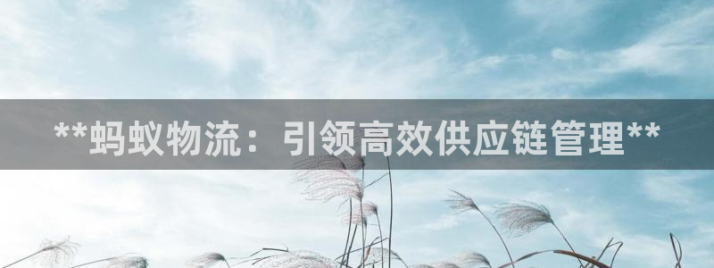 28圈黑吗：**蚂蚁物流：引领高效供