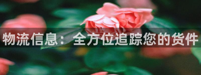 28圈分分28输了能不能退：物流信息
