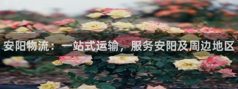 28圈网站怎么注册：安阳物流：一站式