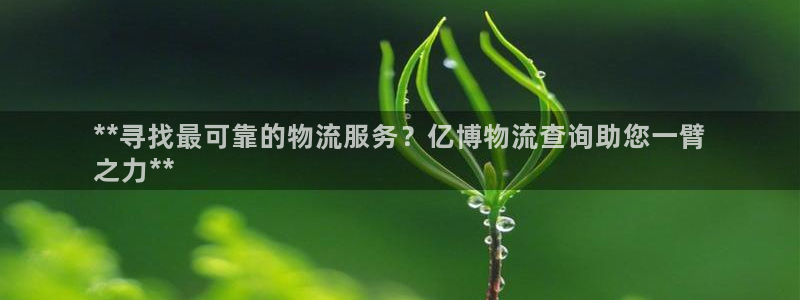28圈注册网址：**寻找最可靠的物流